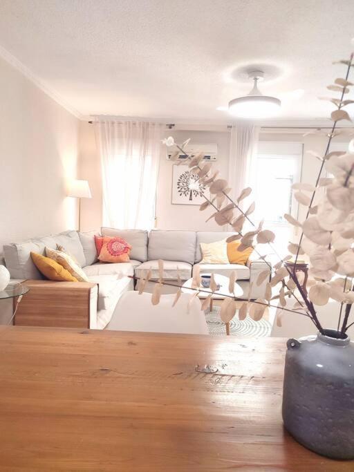 Charming & Spacious Apartment In Historic Centre & Short Walk To Beach Аликанте Екстериор снимка